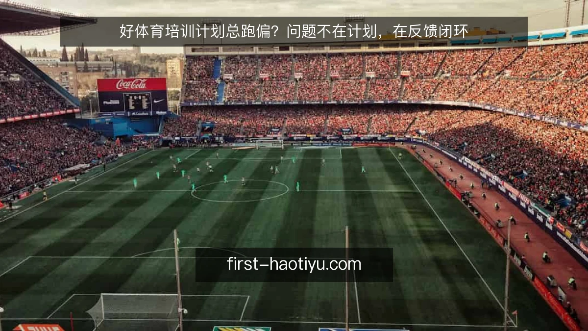 好体育培训计划总跑偏？问题不在计划，在反馈闭环