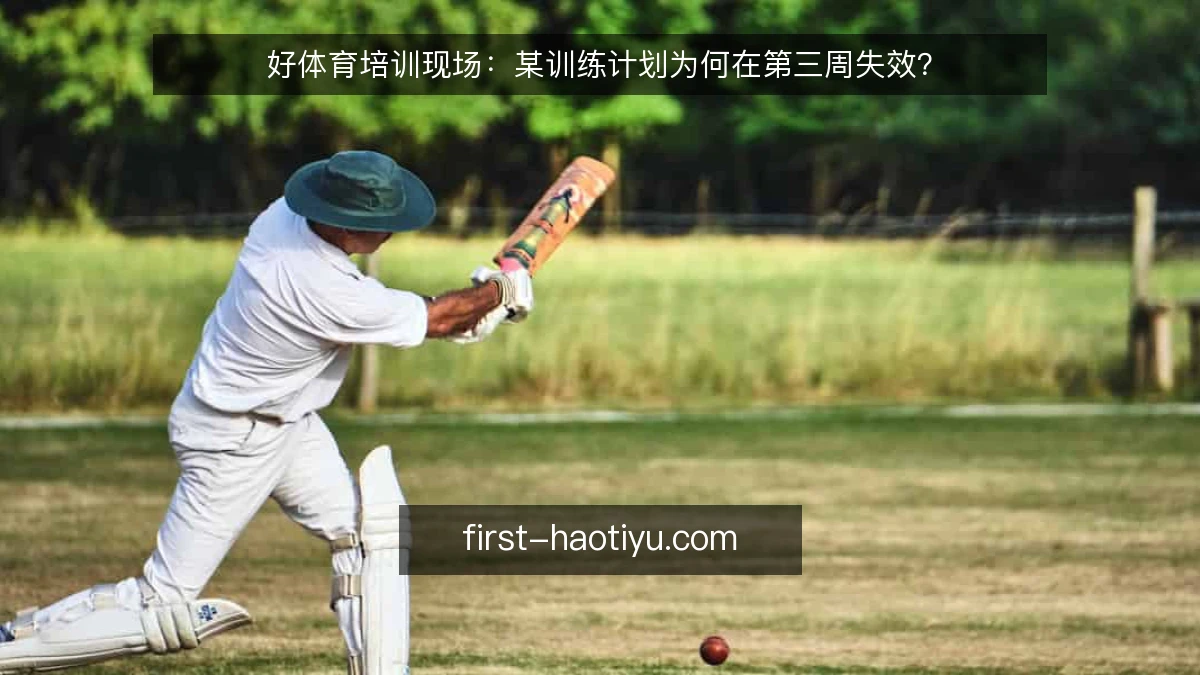 好体育培训现场：某训练计划为何在第三周失效？