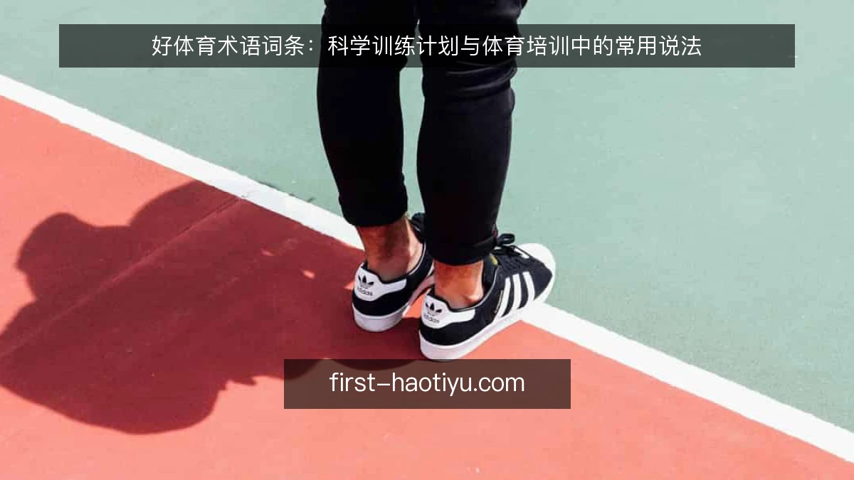 好体育术语词条：科学训练计划与体育培训中的常用说法